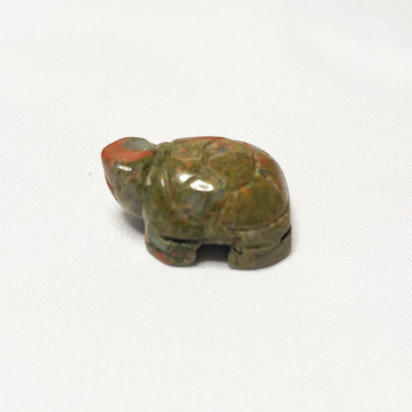 Tortoise crystal sea turtle