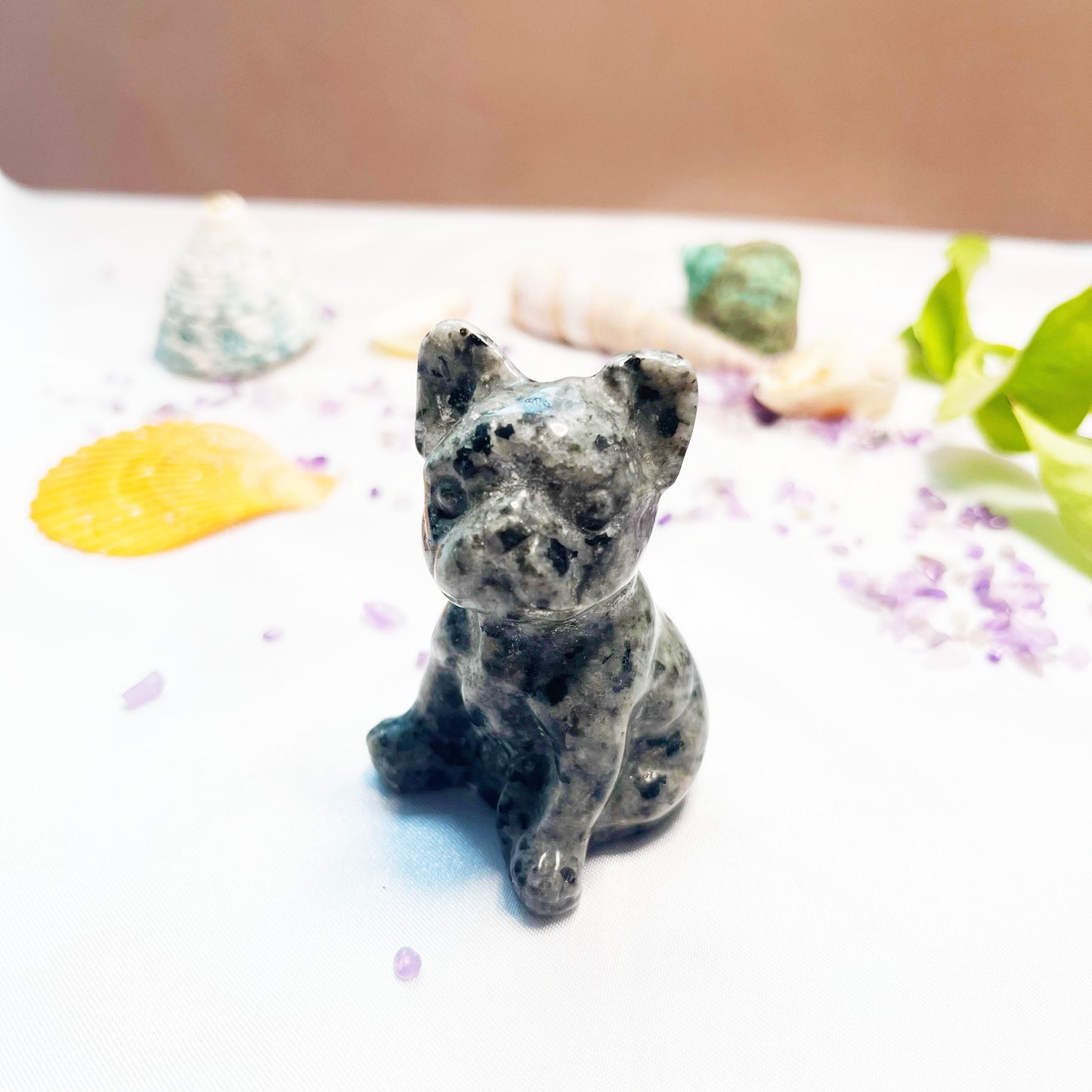 Firework stone French bulldog