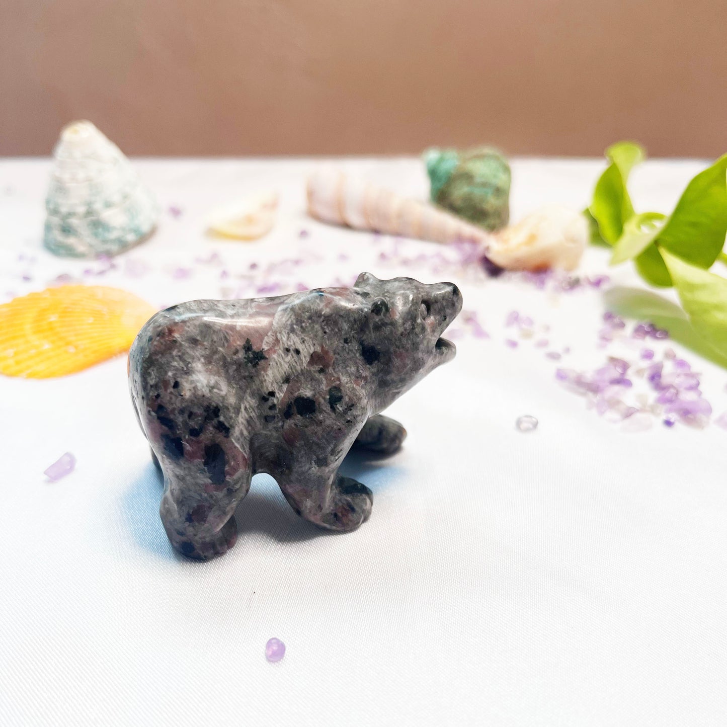 Firework stone bear